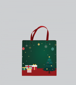 DREAMY CHRISTMAS